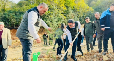 Espiye’de 11 Kasım Milli Ağaçlandırma Günü’nde Fidanlar Toprakla Buluştu