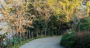 Espiye Kaymakamlığı’ndan Köy Yollarına Yatırım