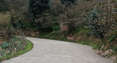 Espiye Kaymakamlığı’ndan Yol Yatırımı: Taflancık Köyü Yolu Ulaşıma Açıldı