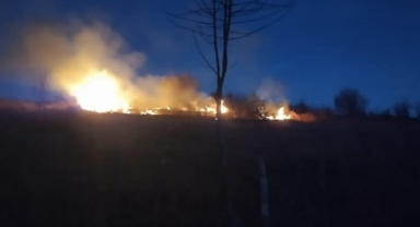 Fındık Bahçesinde Yangın Paniği!