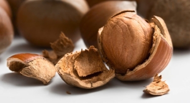 Fındık İhracatında Sert Düşüş