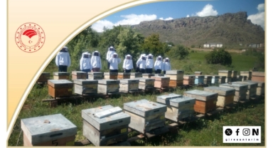 Giresun’da Arıcılara Önemli Hatırlatma: Arılı Kovan Desteği Başvuru Süresi Uzatıldı! Son Başvuru Tarihi Ne Zaman? 