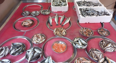 Giresun'da balık fiyatları bugün ne kadar?