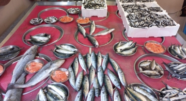 Giresun'da balık fiyatları bugün ne kadar?