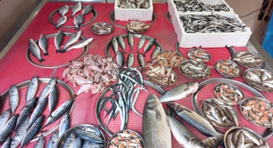 Giresun'da balık fiyatları bugün ne kadar?