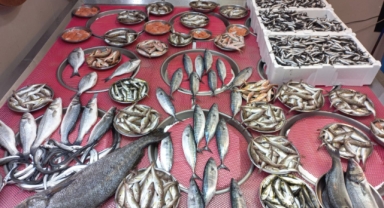 Giresun'da balık fiyatları bugün ne kadar?