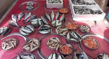 Giresun'da Balık Fiyatları Bugün Ne Kadar?