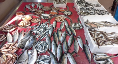 Giresun'da balık fiyatları bugün ne kadar?