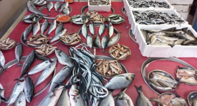 Giresun'da balık fiyatları bugün ne kadar?
