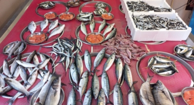 Giresun'da balık fiyatları bugün ne kadar?