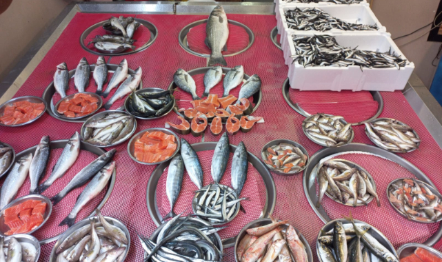 Giresun'da balık fiyatları bugün ne kadar? Hamsi kaç TL? 