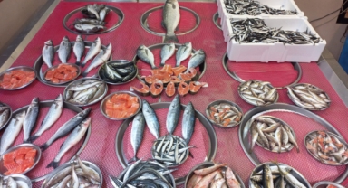 Giresun'da balık fiyatları bugün ne kadar? Hamsi kaç TL? 