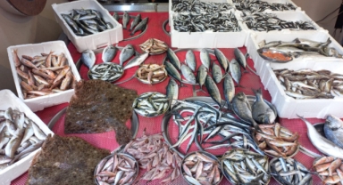 Giresun'da Balık Fiyatları Bugün Ne Kadar? Hamsi Kaç TL?