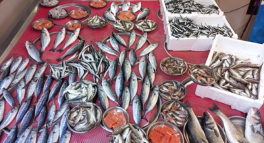 Giresun'da Balık Fiyatları Bugün Ne Kadar? Hamsi Kaç TL?