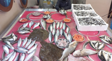 Giresun'da Balık Fiyatları Bugün Ne Kadar? Hamsi Kaç TL?