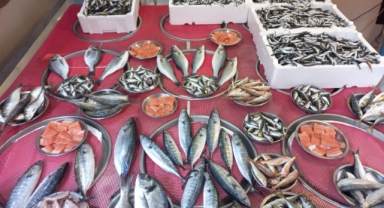 Giresun'da Balık Fiyatları Bugün Ne Kadar? Hamsi Kaç TL?