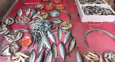 Giresun'da Balık Fiyatları Bugün Ne Kadar? Hamsi Kaç TL?