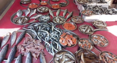Giresun'da Balık Fiyatları Bugün Ne Kadar? Hamsi Kaç TL?