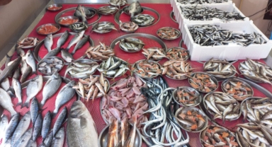 Giresun'da Balık Fiyatları Bugün Ne Kadar? Hamsi Kaç TL?