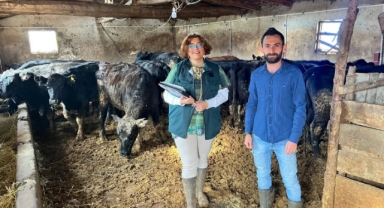 Giresun’da Bereketli Başlangıç: İlk Damızlık Hayvanlar Teslim Edildi!