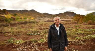 Giresun'da Bir İlk: Emekli Banka Müdüründen Örnek Tarım Projesi