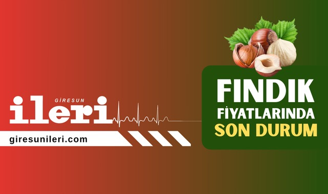 Giresun'da fındık fiyatları bugün ne kadar? 