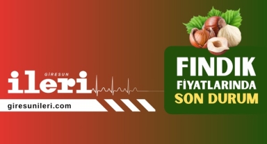 Giresun'da fındık fiyatları bugün ne kadar? 
