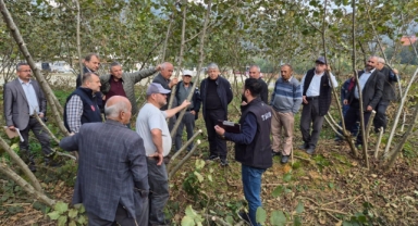 Giresun’da Fındıkta Verim ve Kalite İçin Eğitim Seferberliği