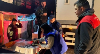 Giresun’da Hamsi Avcılığına Sıkı Denetim