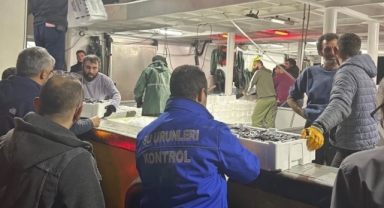 Giresun’da Hamsi Avına Kota Denetimi: Ekipler Gece Boyu Nöbette