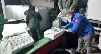 Giresun’da Hamsi Denetimi Sürüyor: Teknik Ekipler Gırgır Teknelerinde Nöbette