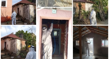 Giresun’da Kahverengi Kokarca Tehdidine Karşı Etkili Mücadele