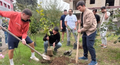Giresun'da Öğrenciler ve Gönüllüler, Geleceğe Nefes Olacak Fidanları Toprakla Buluşturdu