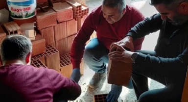 Giresun Fındık Araştırma Enstitüsü'nden Kahverengi Kokarca İçin İş Birliği Çağrısı