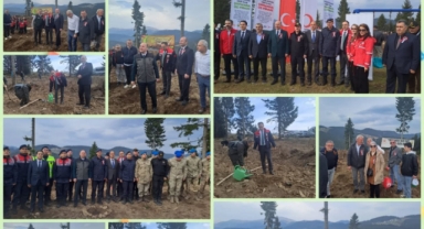 Giresun İl Tarım ve Orman Müdürlüğü Yeşil Vatan İçin Sahada