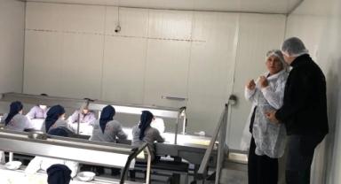 Giresun’un Altın Değeri Fındıkta Kalite Denetimi