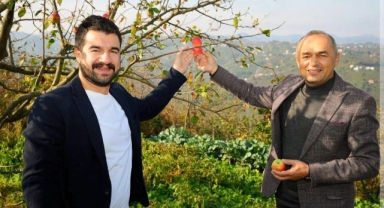 Giresun’un Coğrafi İşaretli Marka Değeri Piraziz Elması Hasadı Gerçekleşti
