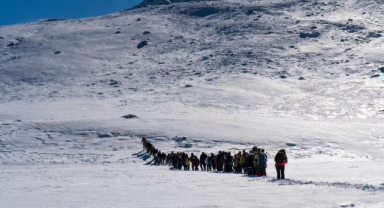 Giresun'un Doğasında Kutlama: GİDOSK'tan Öğretmenler Günü Anısına İki Ayrı Doğa Etkinliği  
