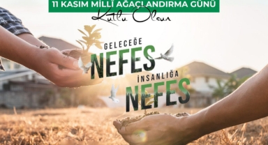 Giresun Valisi Serdengeçti’den Milli Ağaçlandırma Günü Mesajı