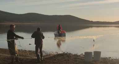 Göle bırakılan 5 bin metrelik ağdaki 500 balık kurtarıldı
