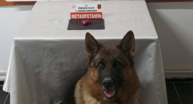 Gümüşhane’de uyuşturucu operasyonunda 2 şahıs yakalandı