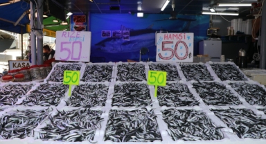 Hamsinin kilogramı 50 liradan satılıyor