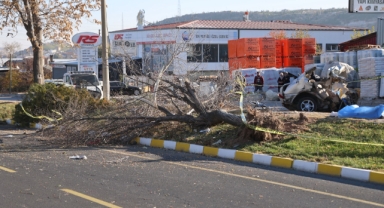 İkiye bölünen otomobil, genç arkadaşlara mezar oldu