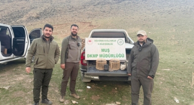 Kafes avcılığı yapan şahıs suçüstü yakalandı