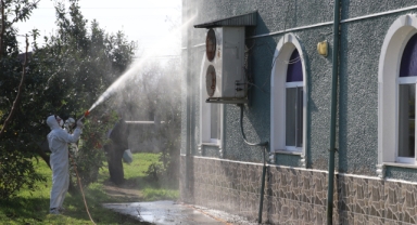Kahverengi Kokarcaya Karşı Mücadelede Kapsamlı İlaçlama Çalışmaları Sürüyor