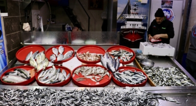 Karadeniz’de Hamsi Bereketi: Tezgahlar Şenlendi