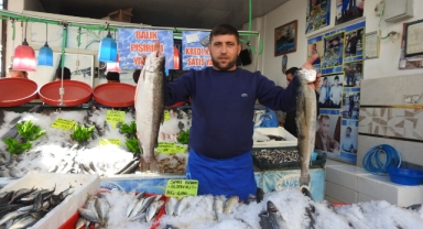 Karadeniz'deki bolluk balık fiyatlarını düşürdü
