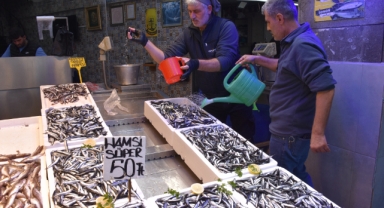 Karadeniz'in Bereketi Tezgahlarda: Hamside Rekor Bolluk