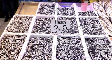Karadeniz'in o kentinde  hamsinin kilogramı 75 liradan satılıyor