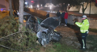 Kontrolden çıkan otomobil, direk ve ağaçlara çarptı: 1 yaralı